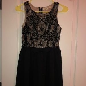 Tan and Black Lace Skater Dress